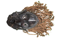 Load image into Gallery viewer, Dan Mask
